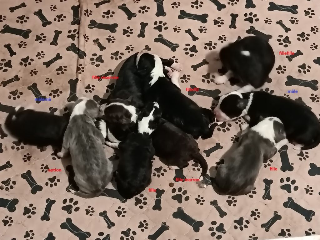 les bébés sont nés